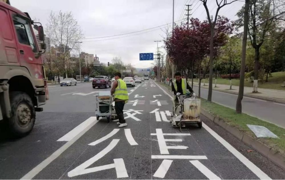成都市锦江区成龙大道标线施划